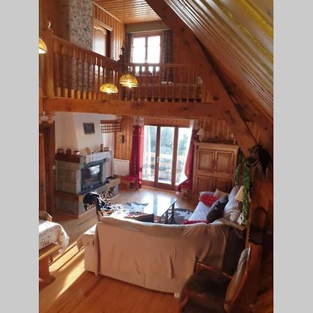Authentique chalet vue sur le lac et les pistes Besse-et-Saint-Anastaise Extérieur photo