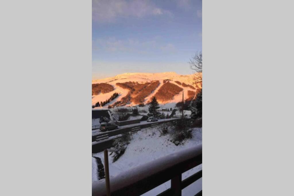 Authentique chalet vue sur le lac et les pistes Besse-et-Saint-Anastaise Extérieur photo