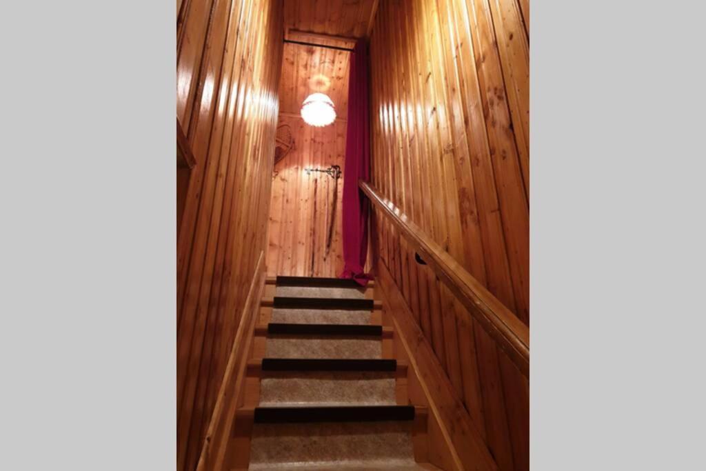 Authentique chalet vue sur le lac et les pistes Besse-et-Saint-Anastaise Extérieur photo