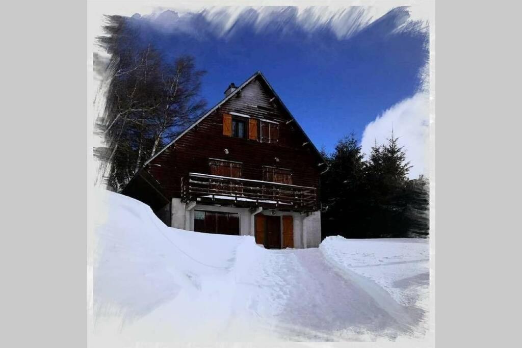 Authentique chalet vue sur le lac et les pistes Besse-et-Saint-Anastaise Extérieur photo